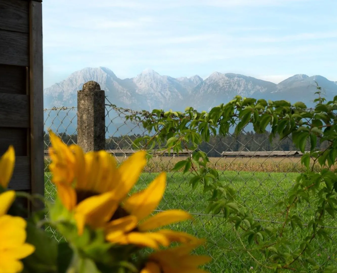 Villa Glamping With A View Smlednik 0*,